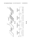 HYDROGEL COMPOSITIONS FOR USE IN CELL EXPANSION AND DIFFERENTIATION diagram and image