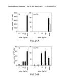 MESENDODERM AND MESODERM CELL POPULATIONS diagram and image