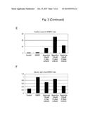 CELL PREPARATION CONTAINING MYOCARDIUM-COMMITTED CELL diagram and image