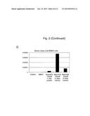 CELL PREPARATION CONTAINING MYOCARDIUM-COMMITTED CELL diagram and image