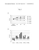 CELL PREPARATION CONTAINING MYOCARDIUM-COMMITTED CELL diagram and image