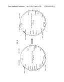 RECOMBINANT ADENOVIRUSES AND USE THEREOF diagram and image