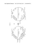 RECOMBINANT ADENOVIRUSES AND USE THEREOF diagram and image