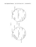 RECOMBINANT ADENOVIRUSES AND USE THEREOF diagram and image