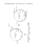 RECOMBINANT ADENOVIRUSES AND USE THEREOF diagram and image