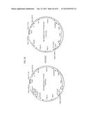 RECOMBINANT ADENOVIRUSES AND USE THEREOF diagram and image