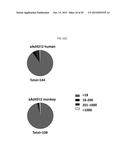 RECOMBINANT ADENOVIRUSES AND USE THEREOF diagram and image