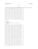 RECOMBINANT ADENOVIRUSES AND USE THEREOF diagram and image