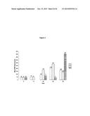 PSORALEN-INACTIVATED DENGUE VIRUS VACCINE AND METHOD OF PREPARATION diagram and image