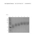 MODIFICATION OF ENZYMATIC CROSSLINKERS FOR CONTROLLING PROPERTIES OF     CROSSLINKED MATRICES diagram and image