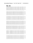 COMPOSITIONS AND METHODS RELATING TO A MUTANT CLOSTRIDIUM DIFFICILE TOXIN diagram and image