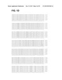 COMPOSITIONS AND METHODS RELATING TO A MUTANT CLOSTRIDIUM DIFFICILE TOXIN diagram and image