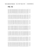 COMPOSITIONS AND METHODS RELATING TO A MUTANT CLOSTRIDIUM DIFFICILE TOXIN diagram and image