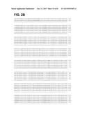 COMPOSITIONS AND METHODS RELATING TO A MUTANT CLOSTRIDIUM DIFFICILE TOXIN diagram and image