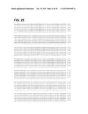 COMPOSITIONS AND METHODS RELATING TO A MUTANT CLOSTRIDIUM DIFFICILE TOXIN diagram and image