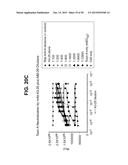 COMPOSITIONS AND METHODS RELATING TO A MUTANT CLOSTRIDIUM DIFFICILE TOXIN diagram and image