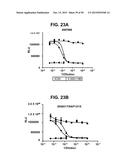 COMPOSITIONS AND METHODS RELATING TO A MUTANT CLOSTRIDIUM DIFFICILE TOXIN diagram and image