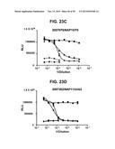 COMPOSITIONS AND METHODS RELATING TO A MUTANT CLOSTRIDIUM DIFFICILE TOXIN diagram and image