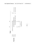 MODIFIED FORMS OF PSEUDOMONAS EXOTOXIN A diagram and image