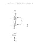 MODIFIED FORMS OF PSEUDOMONAS EXOTOXIN A diagram and image