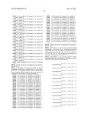 MODIFIED FORMS OF PSEUDOMONAS EXOTOXIN A diagram and image