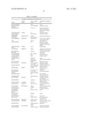 MODIFIED FORMS OF PSEUDOMONAS EXOTOXIN A diagram and image