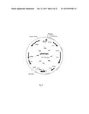 CELL SUITABLE FOR FERMENTATION OF A MIXED SUGAR COMPOSITION diagram and image