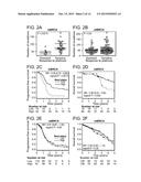 METHOD OF DETERMINING CANCER PROGNOSIS diagram and image