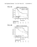 METHOD OF DETERMINING CANCER PROGNOSIS diagram and image