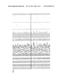 RECEPTOR GENE FOR PEPTIDE CANCER ANTIGEN-SPECIFIC T CELL diagram and image