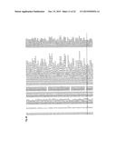 RECEPTOR GENE FOR PEPTIDE CANCER ANTIGEN-SPECIFIC T CELL diagram and image