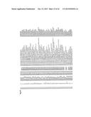 RECEPTOR GENE FOR PEPTIDE CANCER ANTIGEN-SPECIFIC T CELL diagram and image