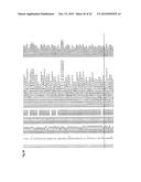 RECEPTOR GENE FOR PEPTIDE CANCER ANTIGEN-SPECIFIC T CELL diagram and image