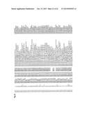 RECEPTOR GENE FOR PEPTIDE CANCER ANTIGEN-SPECIFIC T CELL diagram and image