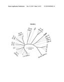 FLAVIVIRUS ASSOCIATED WITH THEILER S DISEASE diagram and image