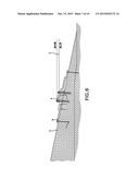 Shoreline Stabilization System and Method diagram and image