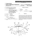 LIGHT-SHAPING OPTICAL ELEMENT diagram and image