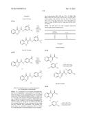 COMPOUNDS USEFUL IN CFTR ASSAYS AND METHODS THEREWITH diagram and image