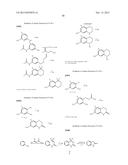 COMPOUNDS USEFUL IN CFTR ASSAYS AND METHODS THEREWITH diagram and image