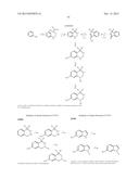 COMPOUNDS USEFUL IN CFTR ASSAYS AND METHODS THEREWITH diagram and image