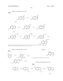 COMPOUNDS USEFUL IN CFTR ASSAYS AND METHODS THEREWITH diagram and image