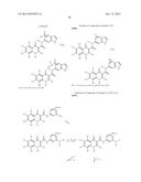 COMPOUNDS USEFUL IN CFTR ASSAYS AND METHODS THEREWITH diagram and image