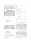 COMPOUNDS USEFUL IN CFTR ASSAYS AND METHODS THEREWITH diagram and image