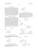 COMPOUNDS USEFUL IN CFTR ASSAYS AND METHODS THEREWITH diagram and image