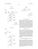 COMPOUNDS USEFUL IN CFTR ASSAYS AND METHODS THEREWITH diagram and image