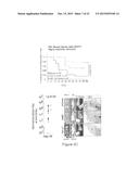 METHOD FOR THE PROGNOSIS AND TREATMENT OF CANCER METASTASIS diagram and image