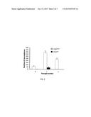 Fluorescent Chemical Dye for Visualization of Neural Stem Cell Symmetric     and Asymmetric Division diagram and image