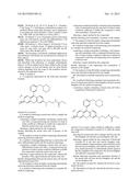 Fluorescent Chemical Dye for Visualization of Neural Stem Cell Symmetric     and Asymmetric Division diagram and image