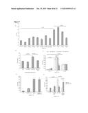 CATHELICIDIN AS NOVEL INFLAMMATORY BOWEL DISEASE MARKER AND THERAPY FOR     COLITIS-ASSOCIATED INTESTINAL FIBROSIS diagram and image