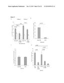 CATHELICIDIN AS NOVEL INFLAMMATORY BOWEL DISEASE MARKER AND THERAPY FOR     COLITIS-ASSOCIATED INTESTINAL FIBROSIS diagram and image